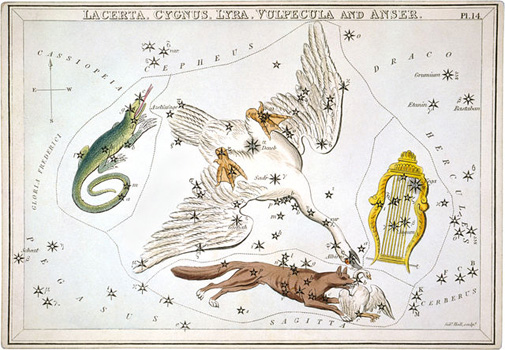 constellation du cygne (nonomnismoriar.eu)