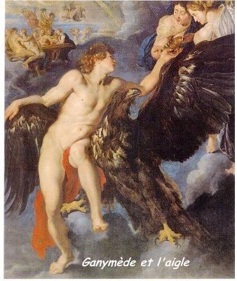 ganymede et l'aigle