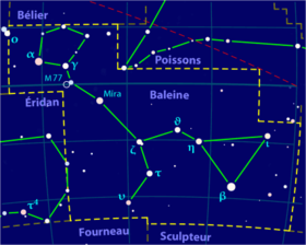 la baleine (fr.wikipedia.org)