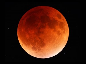 PHOTO Eclipse de Lune Jpeg