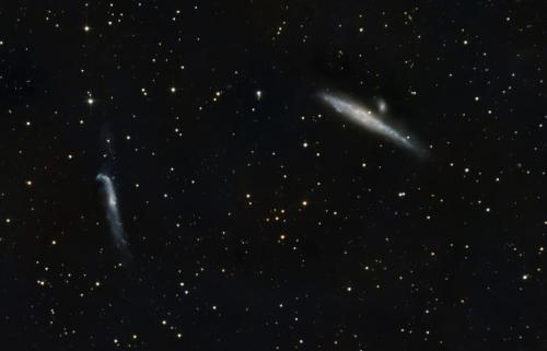 NGC4631-Galaxie-de-la-baleine
