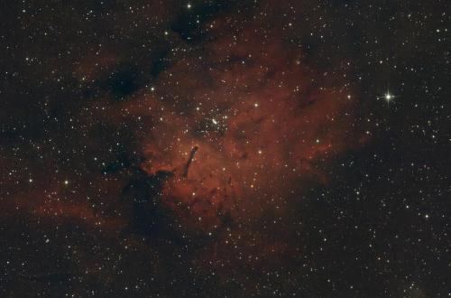 NGC6820-Nebuleuse-Petit-Renard