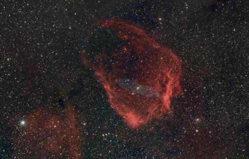 SH2-129-Nebuleuse-chauve-souris-et-Ou4-calamar