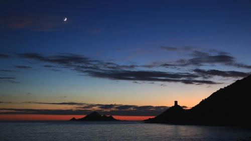 Conjonction Jupiter-Saturne avec la Lune