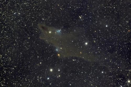 LDN1235 Nébuleuse du requin